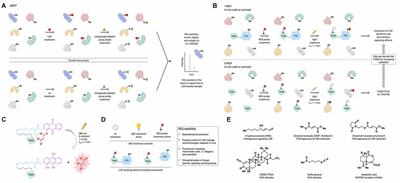 Electrophile Signaling and Emerging Immuno- and Neuro-modulatory Electrophilic Pharmaceuticals